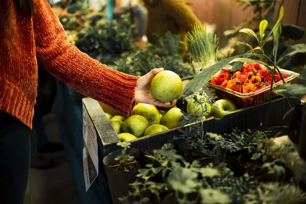Le marché des produits agricoles est vaste et complexe