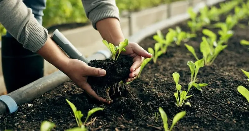 Transformez Votre Vision Agricole en Réalité