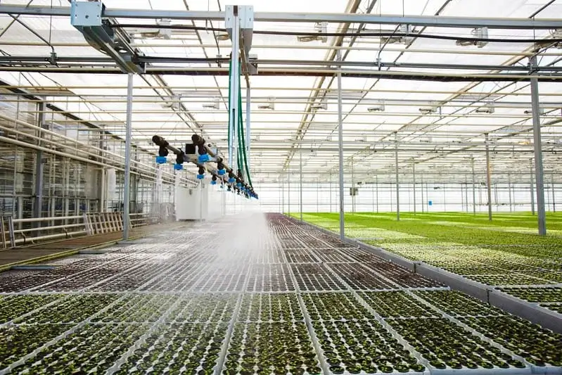 Réalisation et Montage des Projets Agricoles