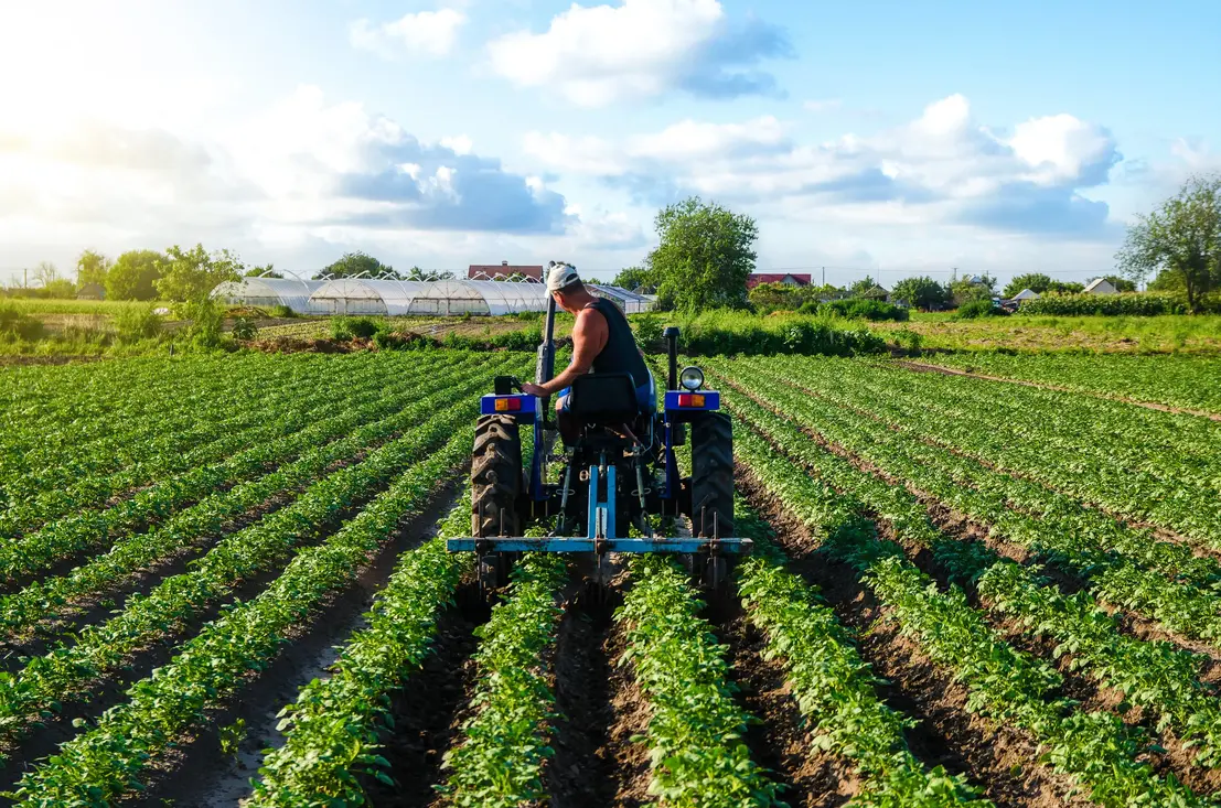 Pratiques et innovations de l'agriculture durable pour l'avenir