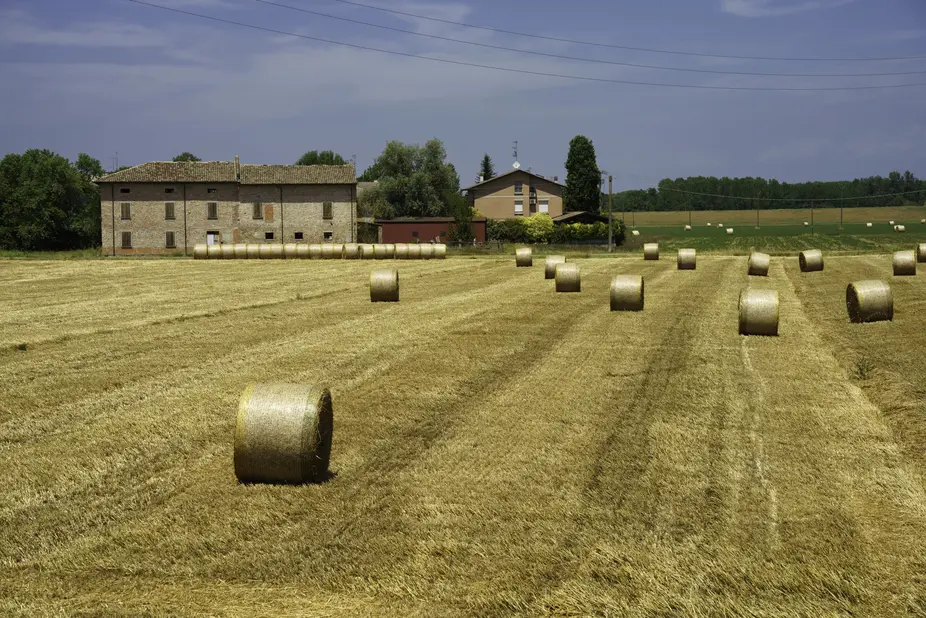 Les Financements pour l’Agriculture : Où et Comment ?
