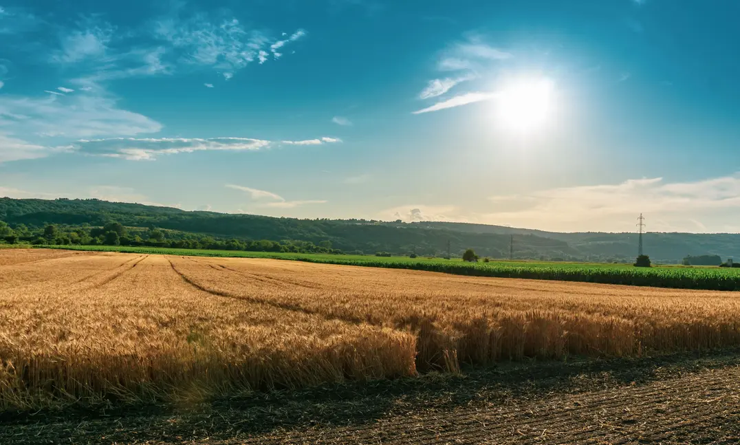 Changement climatique : quels défis pour l'agriculture ?