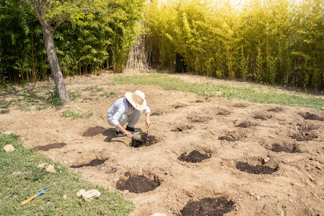 Comment restaurer les sols dégradés efficacement