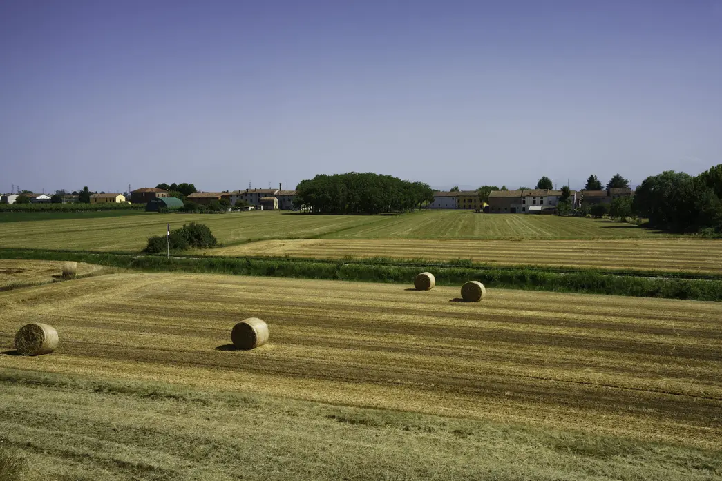 Traditions agricoles africaines : Leçons pour l'avenir