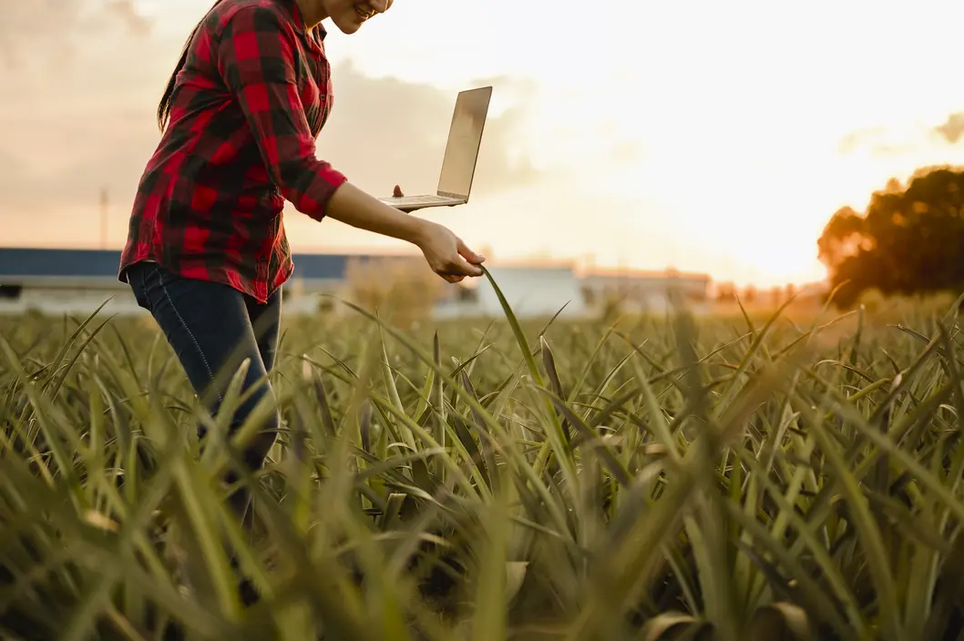 Agriculture durable et innovations