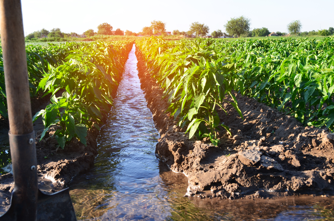 Histoire et culture agricole