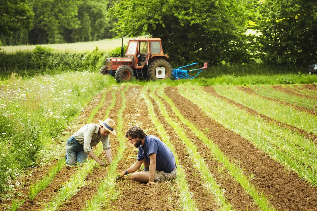 Conseils pratiques